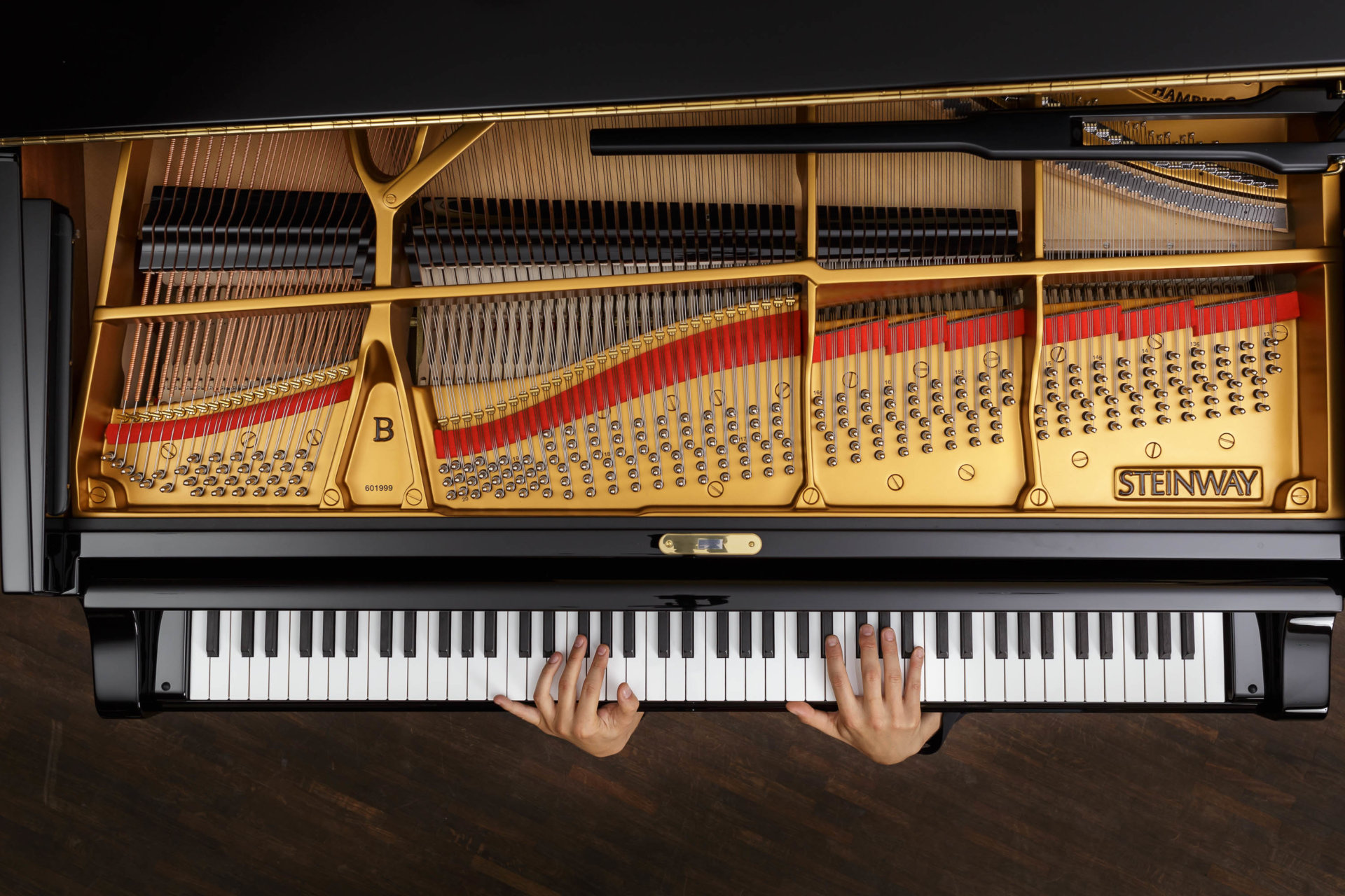 DRUCKEN!, Kultur, MASTERBILD, Pianist, Projekt, Serie, klavier, konzert, meisterfinger, musik, musiker, piano, tasten